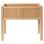 Sun Hochbeet Bloom 75 (75 x 35 x 65 cm, Holz, Natur) | BAUHAUS