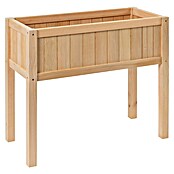 Sun Hochbeet Bloom 75 (75 x 35 x 65 cm, Holz, Natur) | BAUHAUS