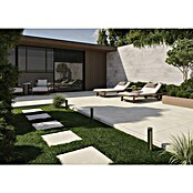 Queens Terrassenfliese (59,3 x 59,3 x 2 cm, Beige, Matt) | BAUHAUS