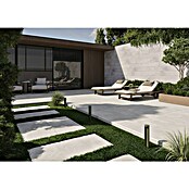 Queens Terrassenfliese (59,3 x 119,3 x 2 cm, Weiß, Matt) | BAUHAUS