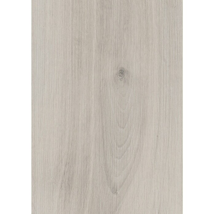 LOGOCLIC Edition Laminat Family (Solario, Landhausdiele, 1 288 x 245 x 7 mm) | BAUHAUS