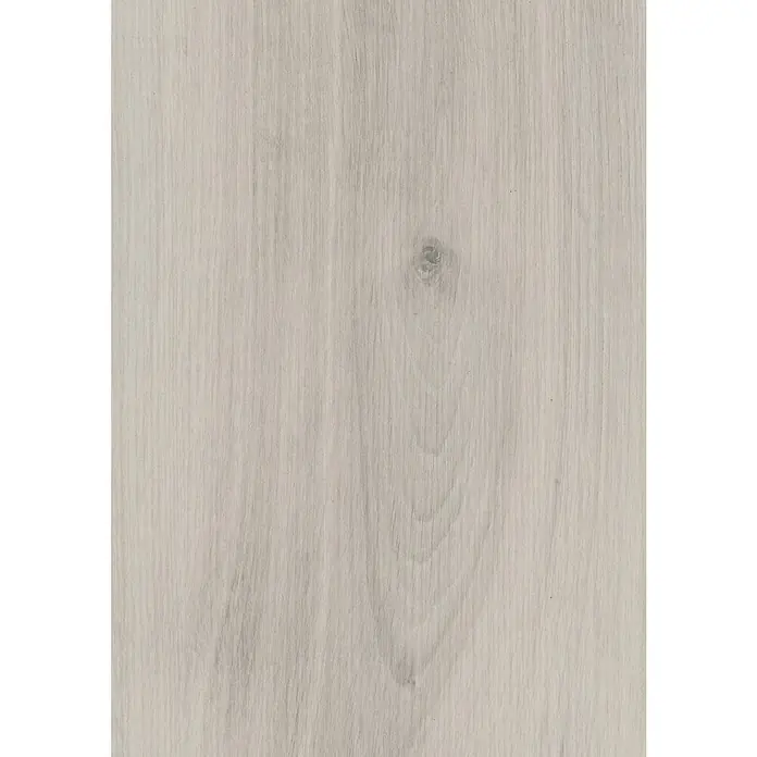 LOGOCLIC Edition Laminatmuster Solario - 300 x 245 x 7 mm, Landhausdiele - Nahaufnahme einer hellgrauen Holzoberfläche mit deutlicher Maserung und einem Ast, ideal für Möbel- oder Bodenbelagsdesign.