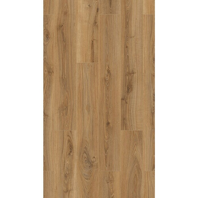 LOGOCLIC Edition Laminat Family (Lagoon, Landhausdiele, 1 288 x 245 x 7 mm) | BAUHAUS