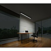 Osram LED stropna svetilka Office Line  (30 W, Do x Š x V: 112,6 x 4,1 x 7 cm, Črna, Hladno bela) | 3097 - Bürolicht | CAKA - Zweckleuchten | CAK - Technisches Licht | CA - Beleuchtung | C - Elektro | BAUHAUS