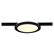 Trio Lighting DUOline Led-plafondlamp, rond Camillus (Ø x h: 26 x 2,7 cm, Warm wit) | BAUHAUS