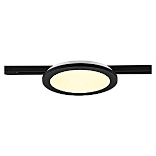 Trio Lighting DUOline Led-plafondlamp, rond Camillus (Ø x h: 26 x 2,7 cm, Warm wit)