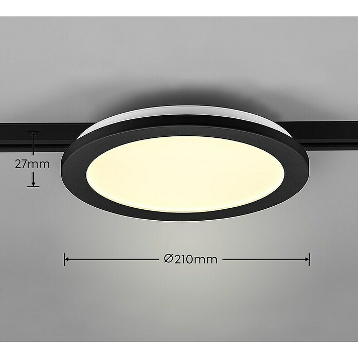 Trio Lighting DUOline Led-plafondlamp, rond Camillus (Ø x h: 26 x 2,7 cm, Warm wit) | BAUHAUS