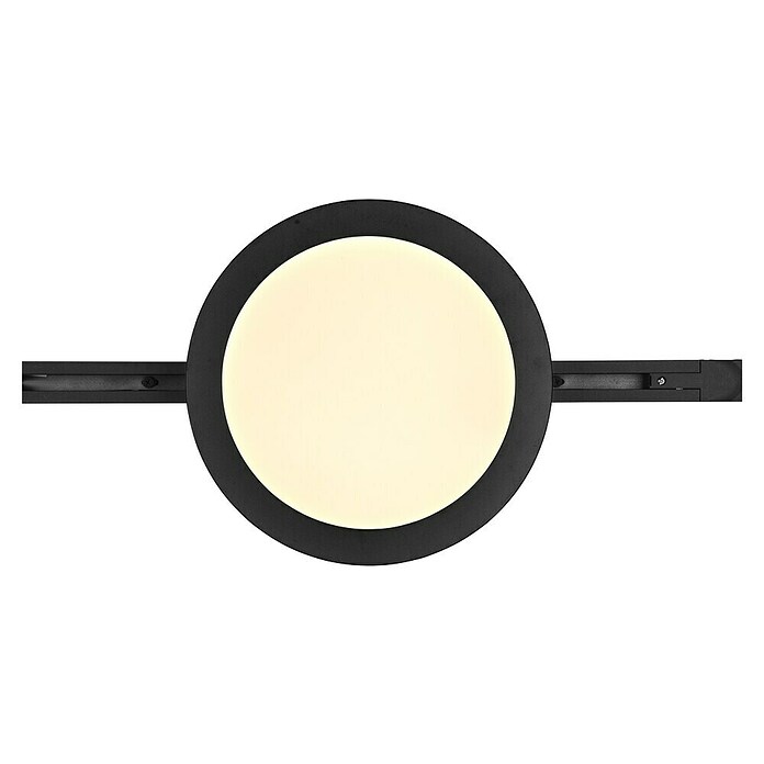 Trio Lighting DUOline Led-plafondlamp, rond Camillus (Ø x h: 26 x 2,7 cm, Warm wit) | BAUHAUS