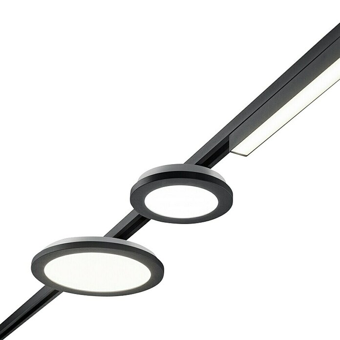 Trio Lighting DUOline Led-plafondlamp, rond Camillus (Ø x h: 17 x 2,9 cm) | BAUHAUS