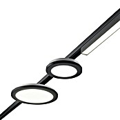 Trio Lighting DUOline Led-plafondlamp, rond Camillus (Ø x h: 17 x 2,9 cm) | BAUHAUS