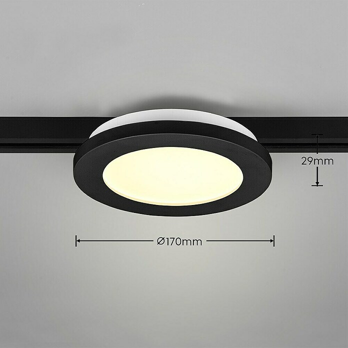 Trio Lighting DUOline Led-plafondlamp, rond Camillus (Ø x h: 17 x 2,9 cm) | BAUHAUS