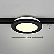 Trio Lighting DUOline Led-plafondlamp, rond Camillus (Ø x h: 17 x 2,9 cm) | BAUHAUS