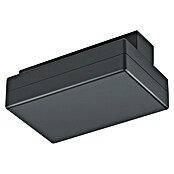 Trio Lighting DUOline Netvoeding (Zwart, l x b x h: 13,5 x 9,5 x 5,1 cm) | BAUHAUS