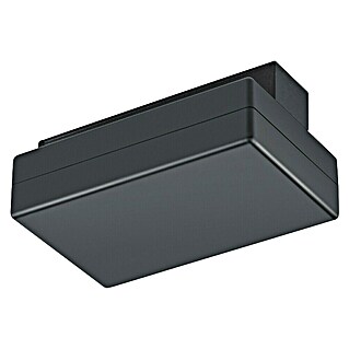 Trio Lighting DUOline Netvoeding (Zwart, l x b x h: 13,5 x 9,5 x 5,1 cm)