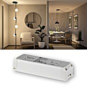 Paulmann ULine Trafo (60 W) | BAUHAUS