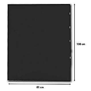 Panadero Placa de protección (An x Al: 81 x 100 cm, Silicato, Negro)