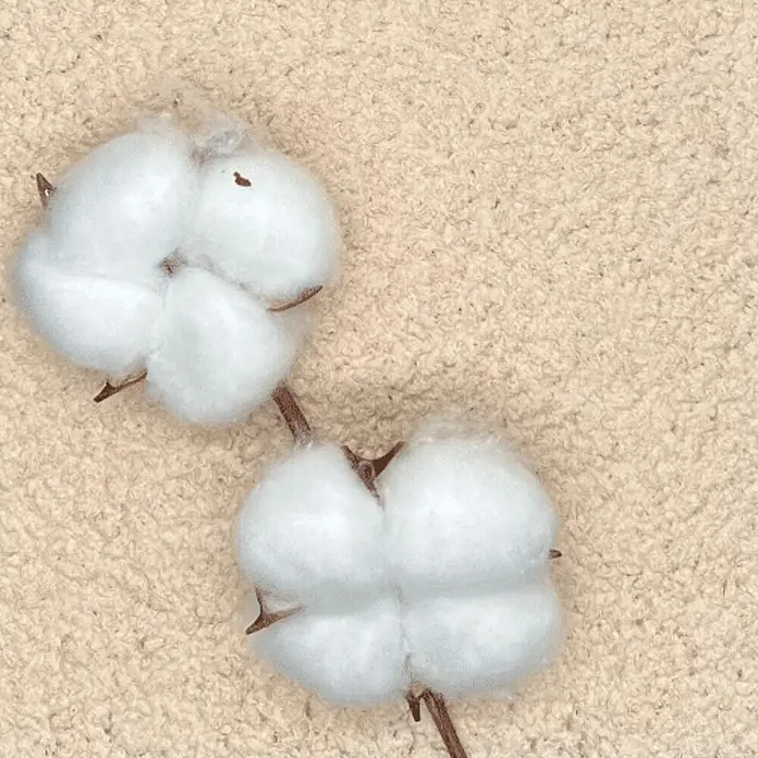 Floxxan Baumwollputz Colorado 106 - Putz Tapete Flüssigtapete Pfirsich - Pfirsich, 1 kg, Lösemittelfrei - Nahaufnahme von zwei Baumwollblüten auf beigem Stoff. Die flauschigen, weißen Blütenköpfe und braunen Stängel bilden einen natürlichen Kontrast.