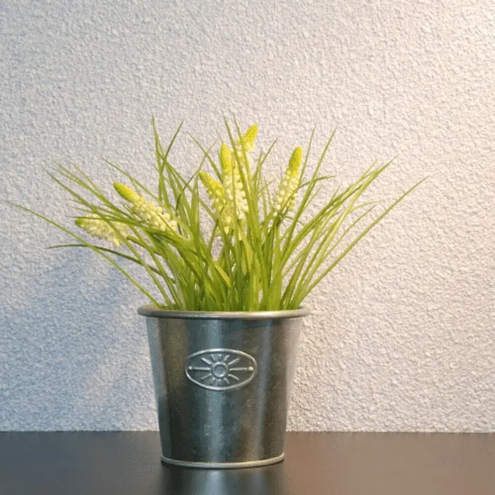 Floxxan Baumwollputz Colorado 101 - Putz Tapete Flüssigtapete Weiß - Weiß, 1 kg, Lösemittelfrei - Dekorative Topfpflanze mit grünen Halmen und gelben Blüten in einem Metalleimer mit Sonnenmotiv.
