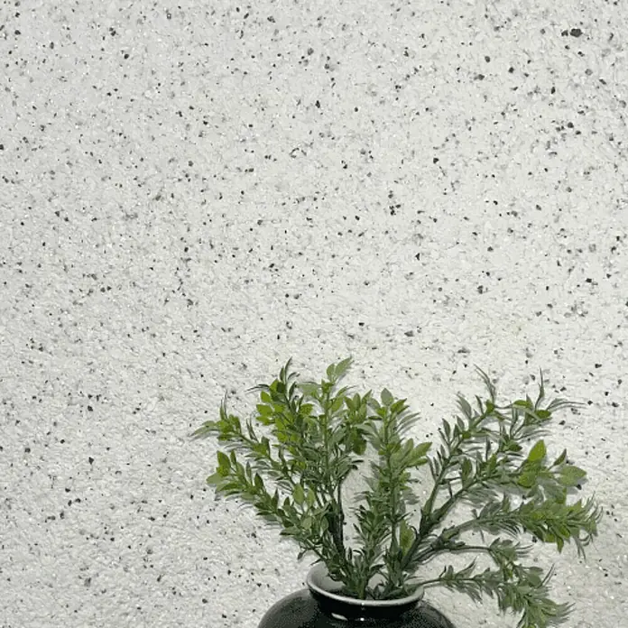 Floxxan Baumwollputz Montana 517 Cellulose - Putz Tapete Flüssigtapete Stracciatella - Stracciatella, 1 kg, Lösemittelfrei - Nahaufnahme einer kleinen grünen Pflanze in einer stilvollen schwarzen Vase vor einer gesprenkelten Wand.