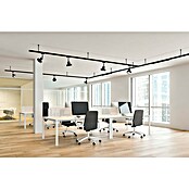 Trio Lighting DUOline Led-spot Roubaix (3,5 W, Zwart, 5 x 8 x 14 cm) | BAUHAUS