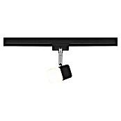Trio Lighting DUOline Led-spot Roubaix (3,5 W, Zwart, 5 x 8 x 14 cm) | BAUHAUS