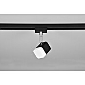 Trio Lighting DUOline Led-spot Roubaix (3,5 W, Zwart, 5 x 8 x 14 cm) | BAUHAUS