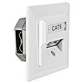 Q-Link Netwerkcontactdoos FTP - 2-voudig (2 x RJ45-aansluiting) | BAUHAUS