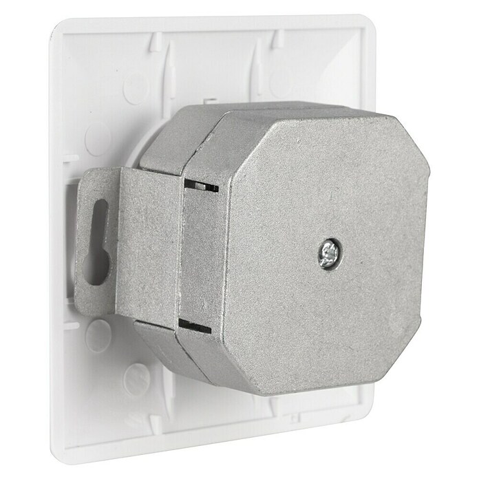 Q-Link Netwerkcontactdoos FTP - 2-voudig (2 x RJ45-aansluiting) | BAUHAUS