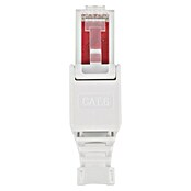 Q-Link Connector FTP - toolless (Totaal aantal stuks: 6 st.) | BAUHAUS