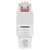 Q-Link Connector FTP - toolless (Totaal aantal stuks: 6 st.) | BAUHAUS