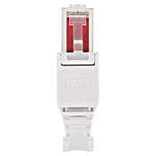 Q-Link Connector FTP - toolless (Totaal aantal stuks: 2 st.) | BAUHAUS