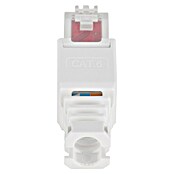 Q-Link Connector FTP - toolless (Totaal aantal stuks: 2 st.) | BAUHAUS