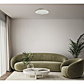 Ferotehna Okrugla stropna LED svjetiljka Narcisa  (24 W, Ø x V: 38 x 7 cm, Neutralno bijelo, Bijelo-srebrna) | BAUHAUS
