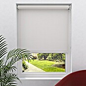 Expo Ambiente Rolo  (Š x V: 110 x 190 cm, Bele barve, Univerzalen, Prepustnost za dnevno svetlobo) | 6443 - Textil-Rollos | HDDA - Fenster-Sonnenschutz | HDD - Sonnenschutz | HD - Ambiente | H - Innendeko/Farben | BAUHAUS