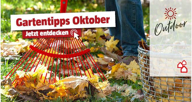 Mit dem Rechen werden die Herbstblätter vom Rasen gekehrt, Titel Gartentipps Oktober