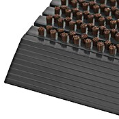 Fußmatte Power Brush (Braun, 80 x 50 cm, 100 % Nylon) | BAUHAUS