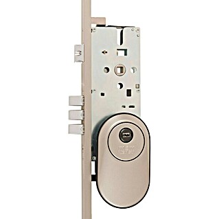 MCM Cerradura empotrable para puerta 30/30 (Esmaltado, Oro, Anchura placa: 70 mm)