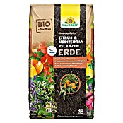 Neudorff NeudoHum Mediterranpflanzenerde (40 l, Torffrei) | BAUHAUS