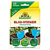Neudorff Klebefalle Blau-Sticker (Blau, 10 Stk.) | BAUHAUS
