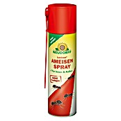 Neudorff Loxiran Ameisenspray (500 ml) | BAUHAUS