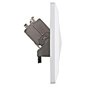 Q-Link Netwerkcontactdoos 2-voudig (CAT7, Inbouw) | BAUHAUS