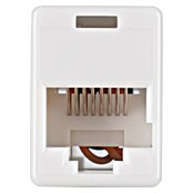 Q-Link Koppeling UTP RJ45 voor CAT 6 (Kunststof, RJ45-koppeling) | BAUHAUS