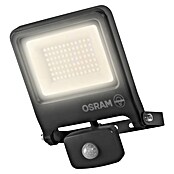 Osram Proyector de LED (Antracita, Sensor, 50 W, IP44)