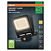 Osram Proyector de LED (Antracita, Sensor, 50 W, IP44)