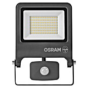 Osram Proyector de LED (Antracita, Sensor, 50 W, IP44)