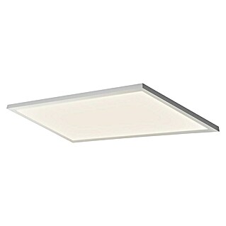 Ledvance Panel LED Planon Plus (22 W, 60 x 30 cm, Plateado, Blanco, Blanco frío)