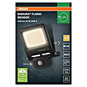 Osram Proyector de LED (Antracita, Sensor, 30 W, IP44)