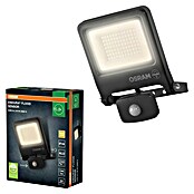 Osram Proyector de LED (Antracita, Sensor, 50 W, IP44)
