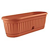 Žardinjera za biljke Media Bianca  (Vanjska dimenzija (D x Š x V): 22 x 11,5 x 8,5 cm, Plastika, Terakota) | BAUHAUS