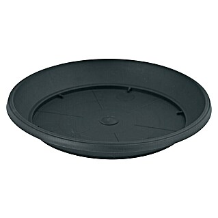 Podložak za teglu za cvijeće Mediteran (Plastika, Antracit, Promjer: 17 cm)